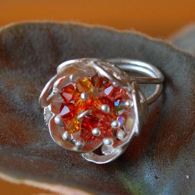 Ring02